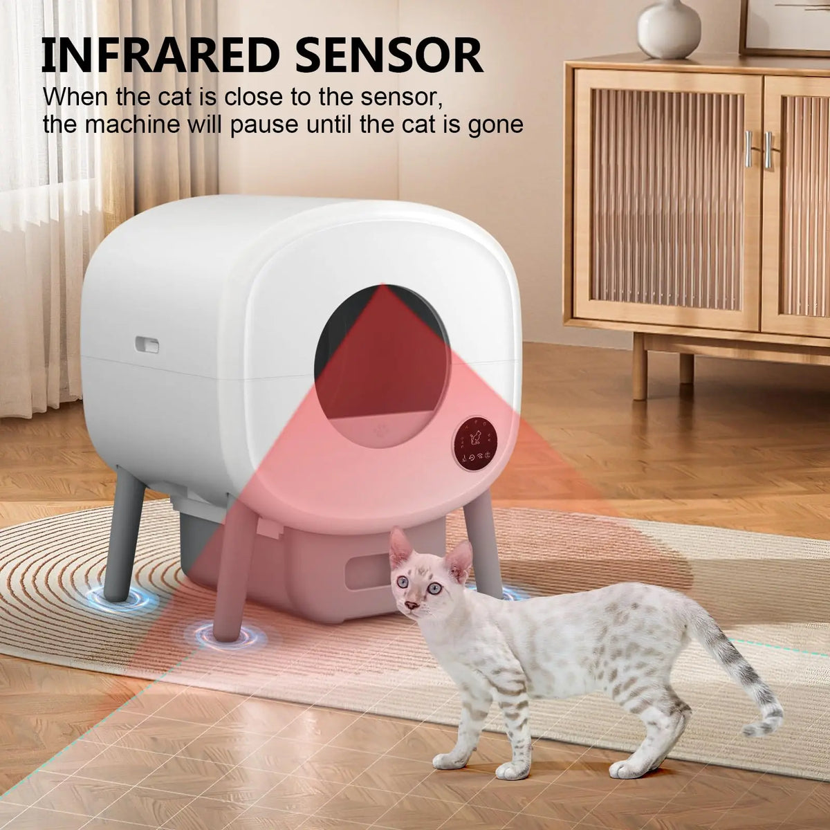Automatisk kattlåda med appstyrning