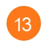 Tigermugg1002