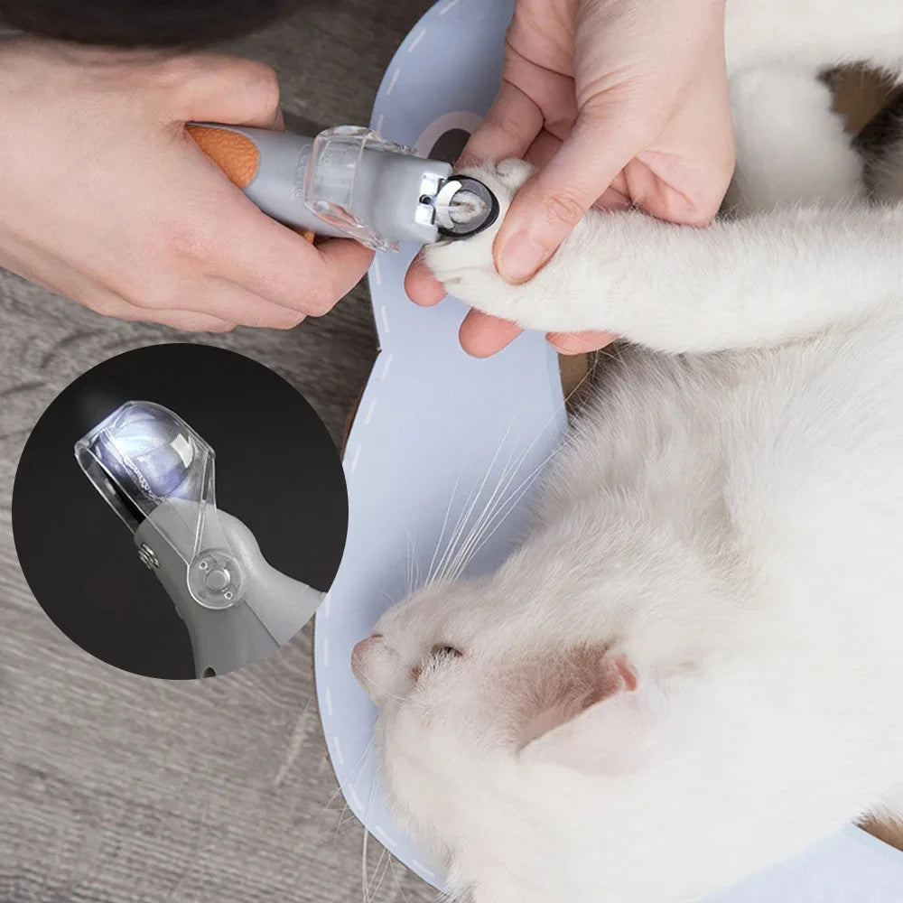 LED-kloklippare för hund & katt